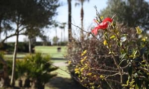 Urbanización Atlanterra Costa en Zahara de los Atunes